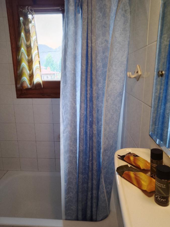 Arka Metsovo Hotel Luaran gambar