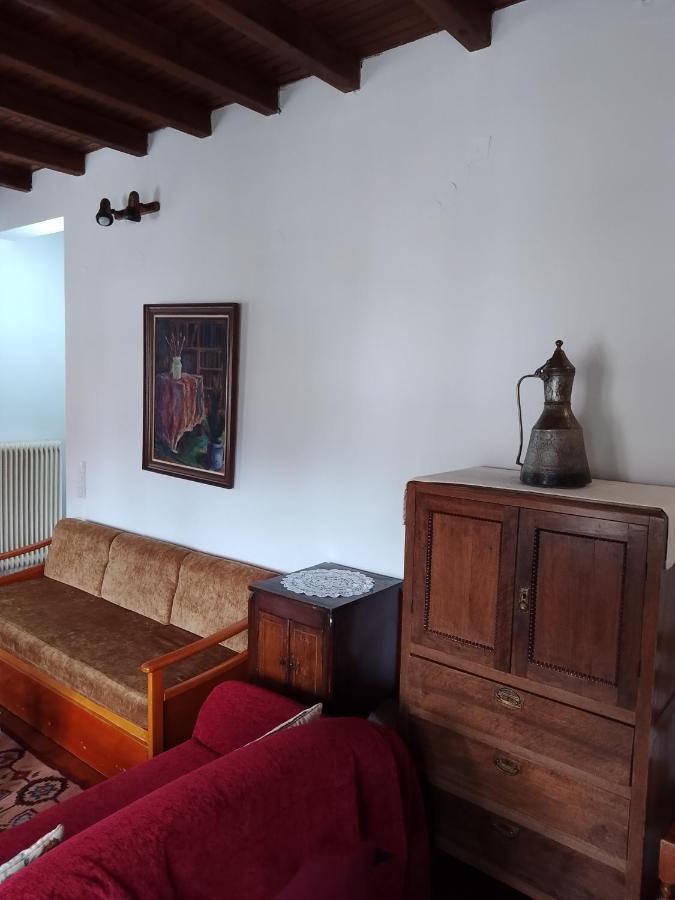 Arka Metsovo Hotel Luaran gambar