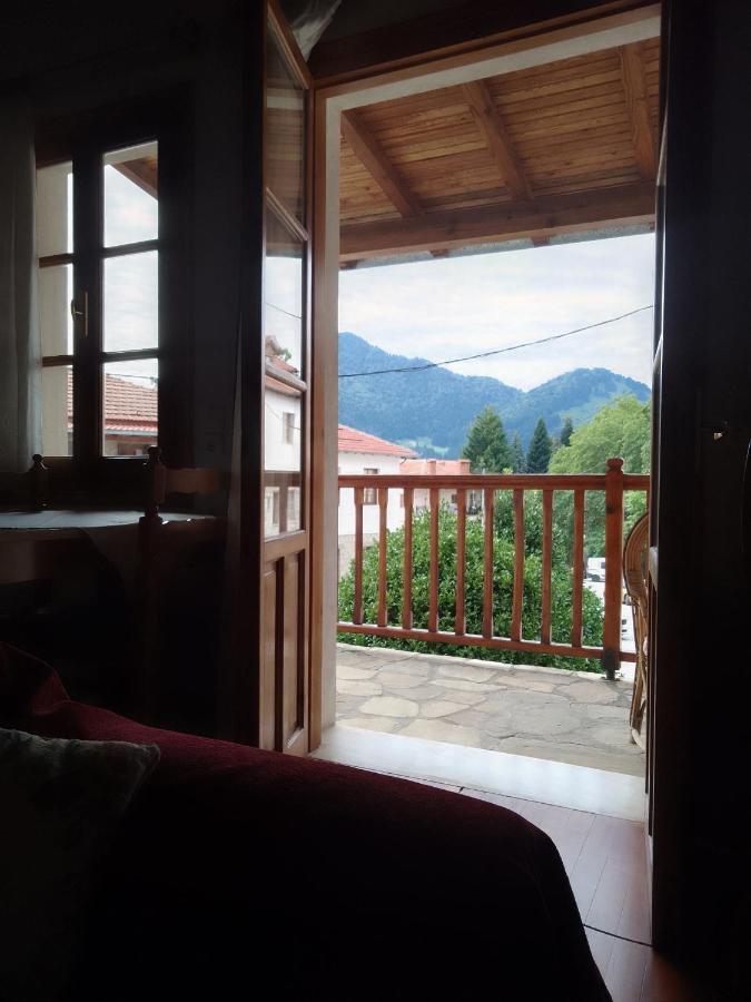 Arka Metsovo Hotel Luaran gambar