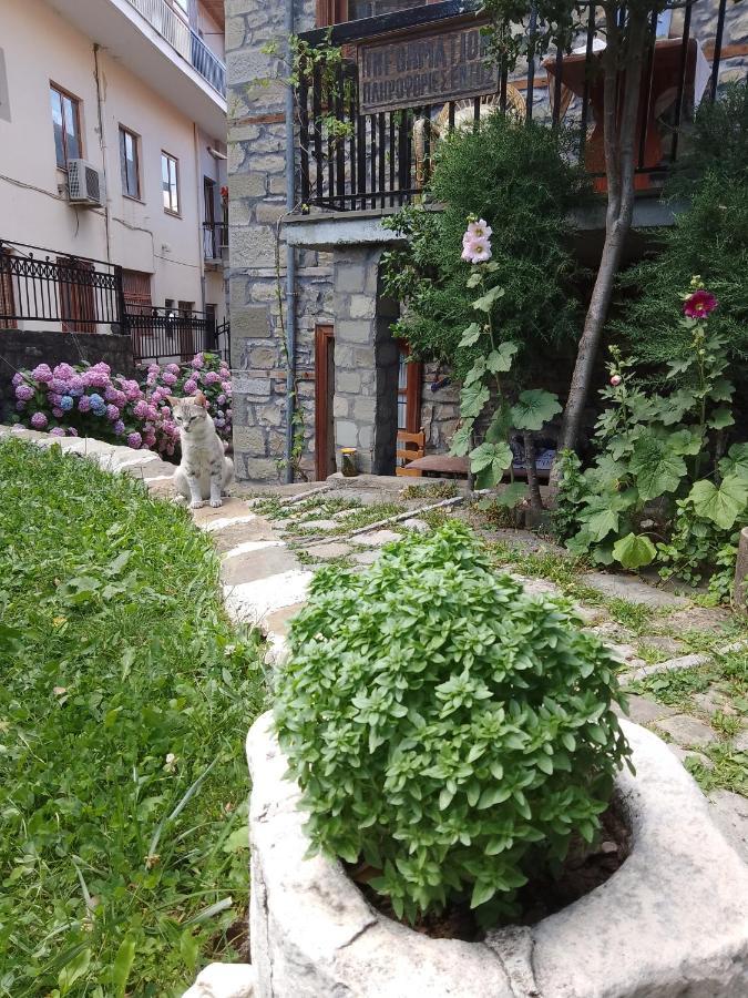 Arka Metsovo Hotel Luaran gambar