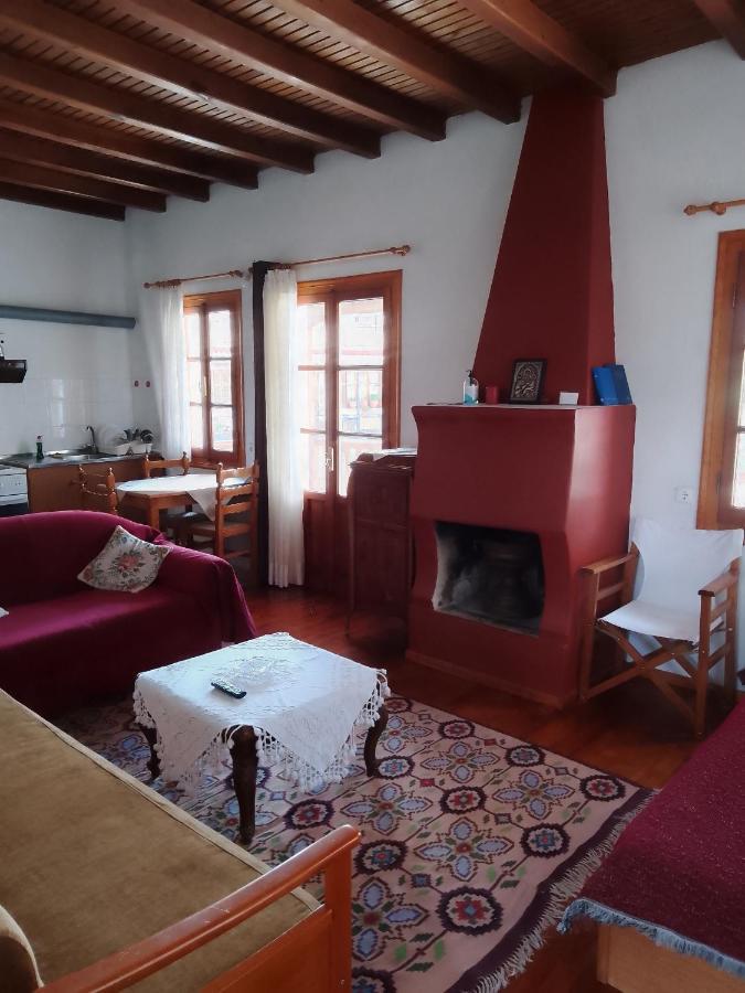 Arka Metsovo Hotel Luaran gambar