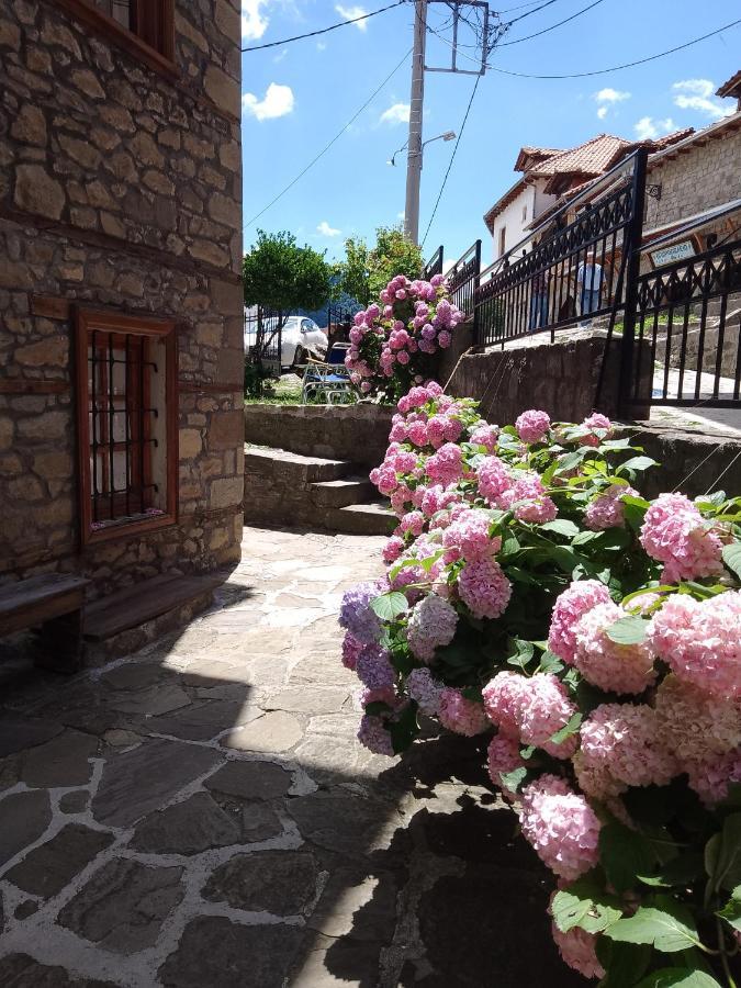Arka Metsovo Hotel Luaran gambar