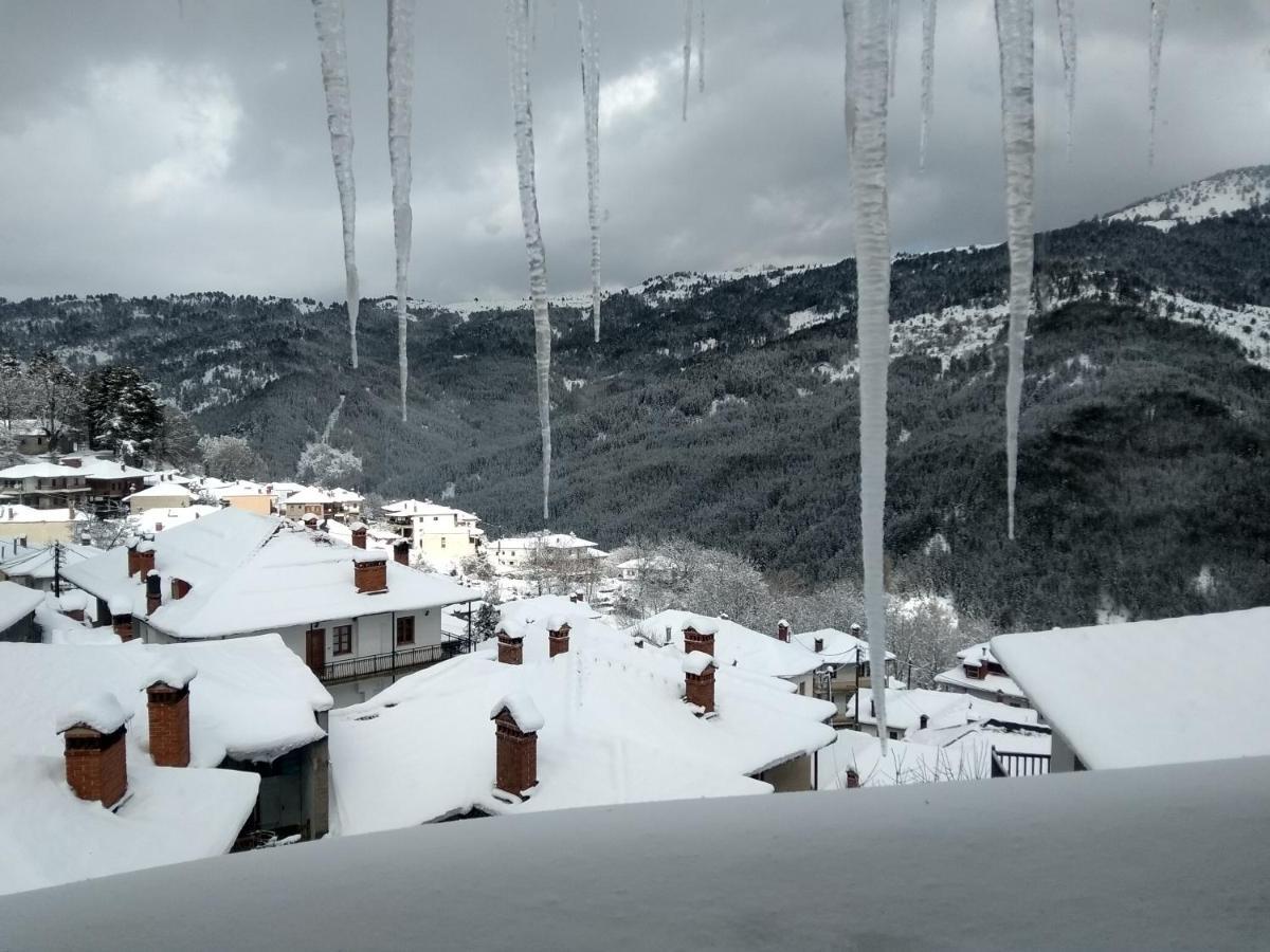 Arka Metsovo Hotel Luaran gambar