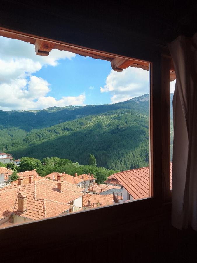 Arka Metsovo Hotel Luaran gambar