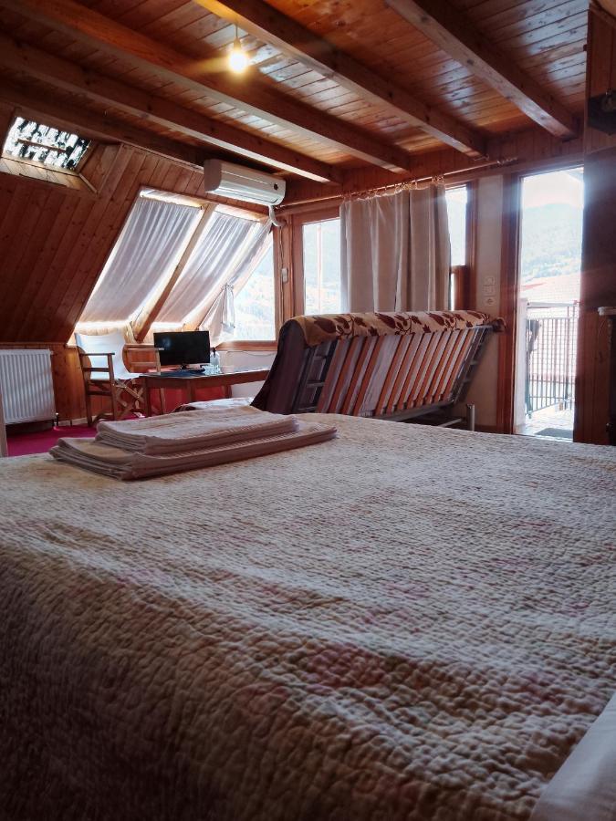 Arka Metsovo Hotel Luaran gambar