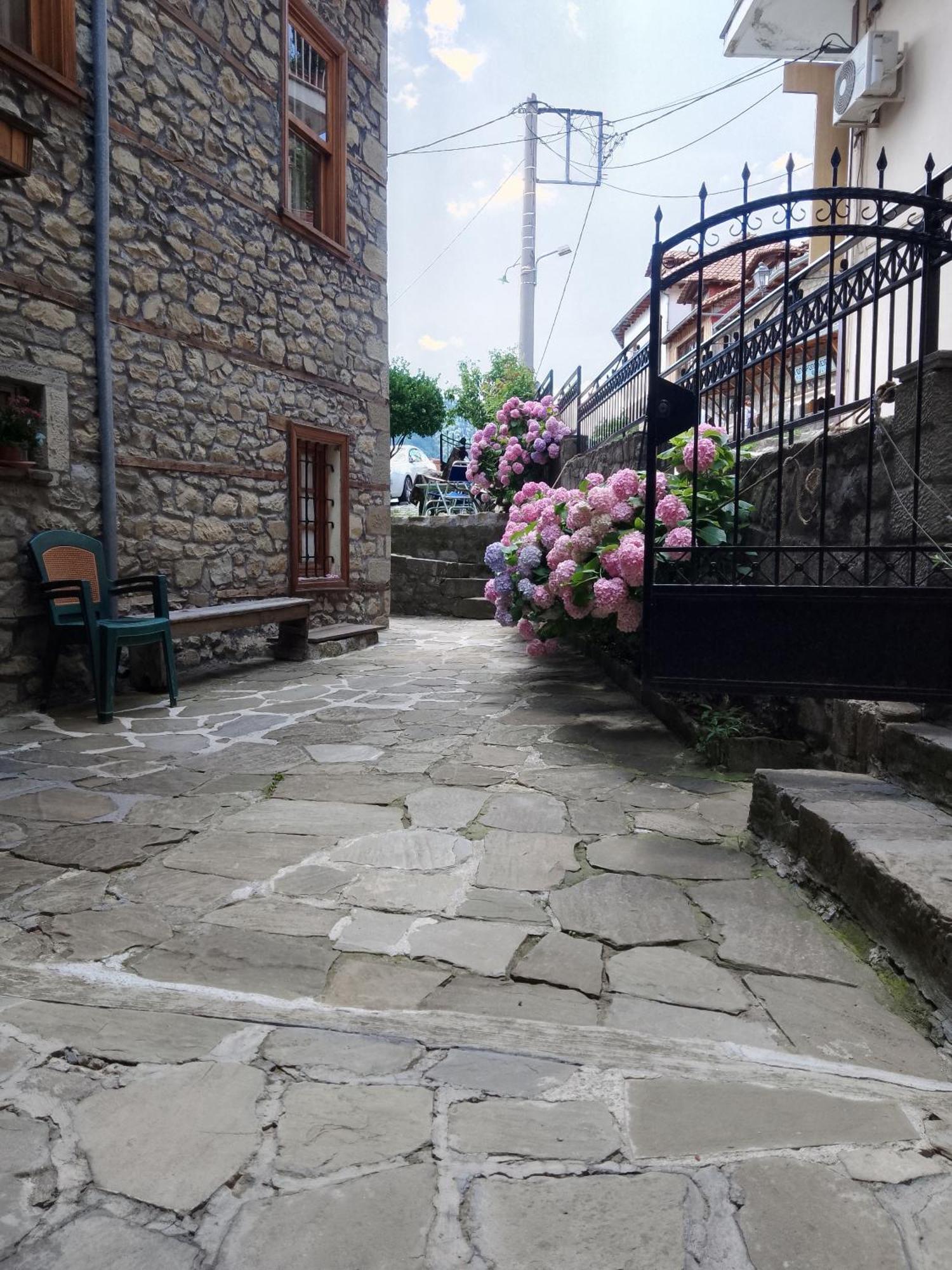Arka Metsovo Hotel Luaran gambar