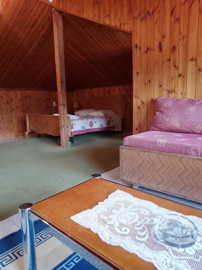 Arka Metsovo Hotel Luaran gambar